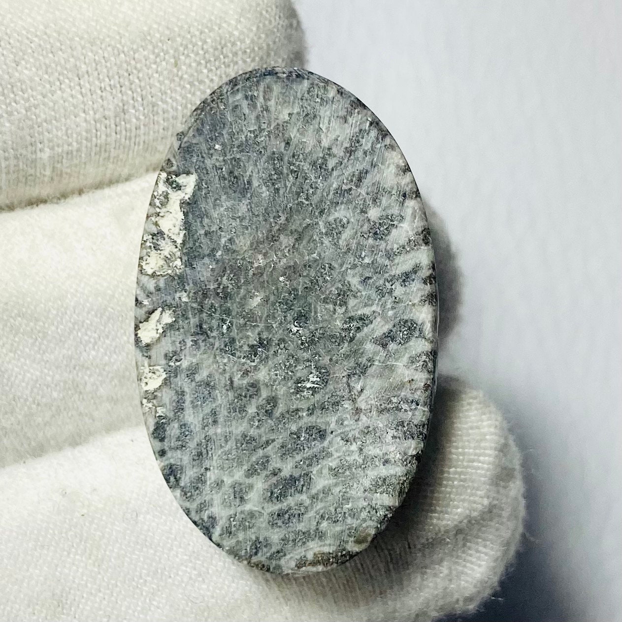 Natural Black Fossil coral cabochon 30x18x6mm 25Cts #MU-2780 Natural Black Fossil coral cabochon 30x18x6mm 25Cts #MU-2780