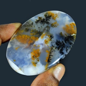 May include: An oval-shaped dendritic agate gemstone with a smooth, polished surface. The stone features a translucent, milky white and light blue base with distinct, branching fern-like inclusions in shades of deep black and vibrant golden yellow.