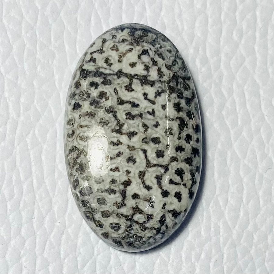 Natural Black Fossil coral cabochon 30x18x6mm 25Cts #MU-2780 Natural Black Fossil coral cabochon 30x18x6mm 25Cts #MU-2780