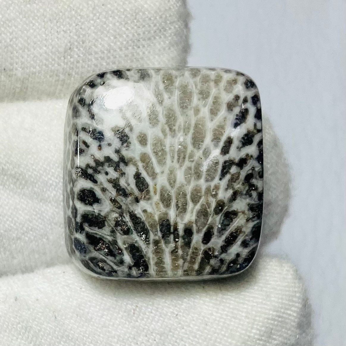 Natural Black Fossil coral cabochon 30x18x6mm 25Cts #MU-2780 Natural Black Fossil coral cabochon 30x18x6mm 25Cts #MU-2780