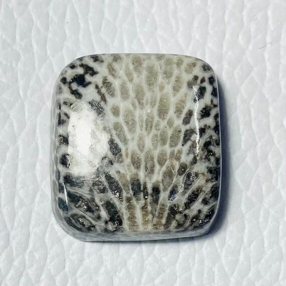 Natural Black Fossil coral cabochon 30x18x6mm 25Cts #MU-2780 Natural Black Fossil coral cabochon 30x18x6mm 25Cts #MU-2780