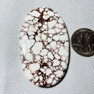 May include: A white and brown oval cabochon of polished turquoise with a spiderweb pattern. The stone is about the size of a US quarter.