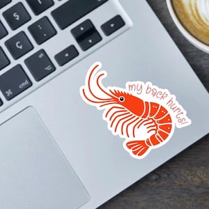 My Back Hurts funny shrimp 2.5" vinyl sticker, magnet or bumper sticker Cute shrimp design, meme, good for water bottles and laptops