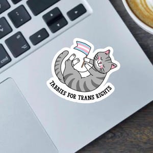 Tabbies for Trans Rights sticker,  Bumper Sticker or Magnet - Trans Lives Matter Design, 2.5&quot; Vinyl Decal,  pride gift, cat lover gifts