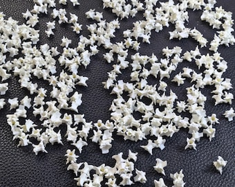 40 Ethically Sourced Snake Bones (7–12 mm) – Perfect for Unique Jewelry