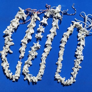 May include: Three strands of off-white animal vertebrae bones strung together on thin, multi-colored twisted cord. Each strand features a series of individual bone segments arranged in a line, with loose string ends visible at the top of each piece.