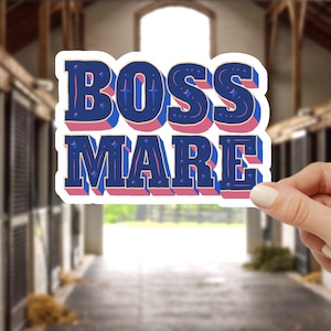 Boss Mare Horse Sticker Set, laptop sticker, Gifts for Horse lovers, gift for Equestrian, water bottle sticker, Funny Saying,