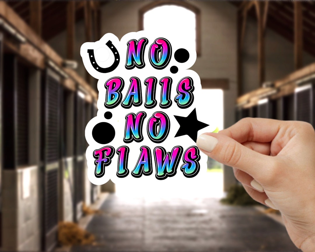 Gelding No Balls No Flaws Horse Sticker Set, Laptop Sticker, Gifts for ...