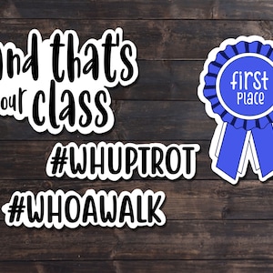 Sticker Set: Equestrian &quot;horse show sayings&quot; waterproof gift for equestrian horse water bottle laptop horse show sticker funny quote saying