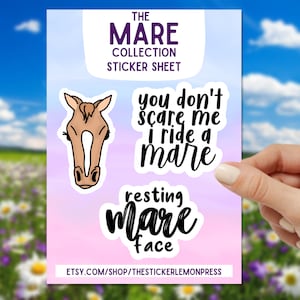Mare Horse Sticker Set, laptop sticker, Gifts for Horse lovers, gift for Equestrian, water bottle sticker, Funny Saying, 5 gaited, die cut