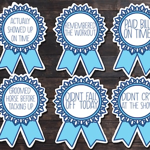 Sticker Set: Equestrian &quot;Adulting&quot; Edition! waterproof