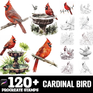 150+ Cardinal Bird Procreate Brush Set | Stamps For Procreate | Instant Digital Download