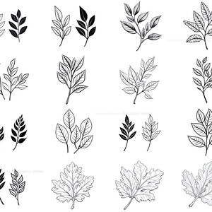 100+ Leaf Procreate Brush Set | Unique Leaf Stamp Brushes | Instant ...