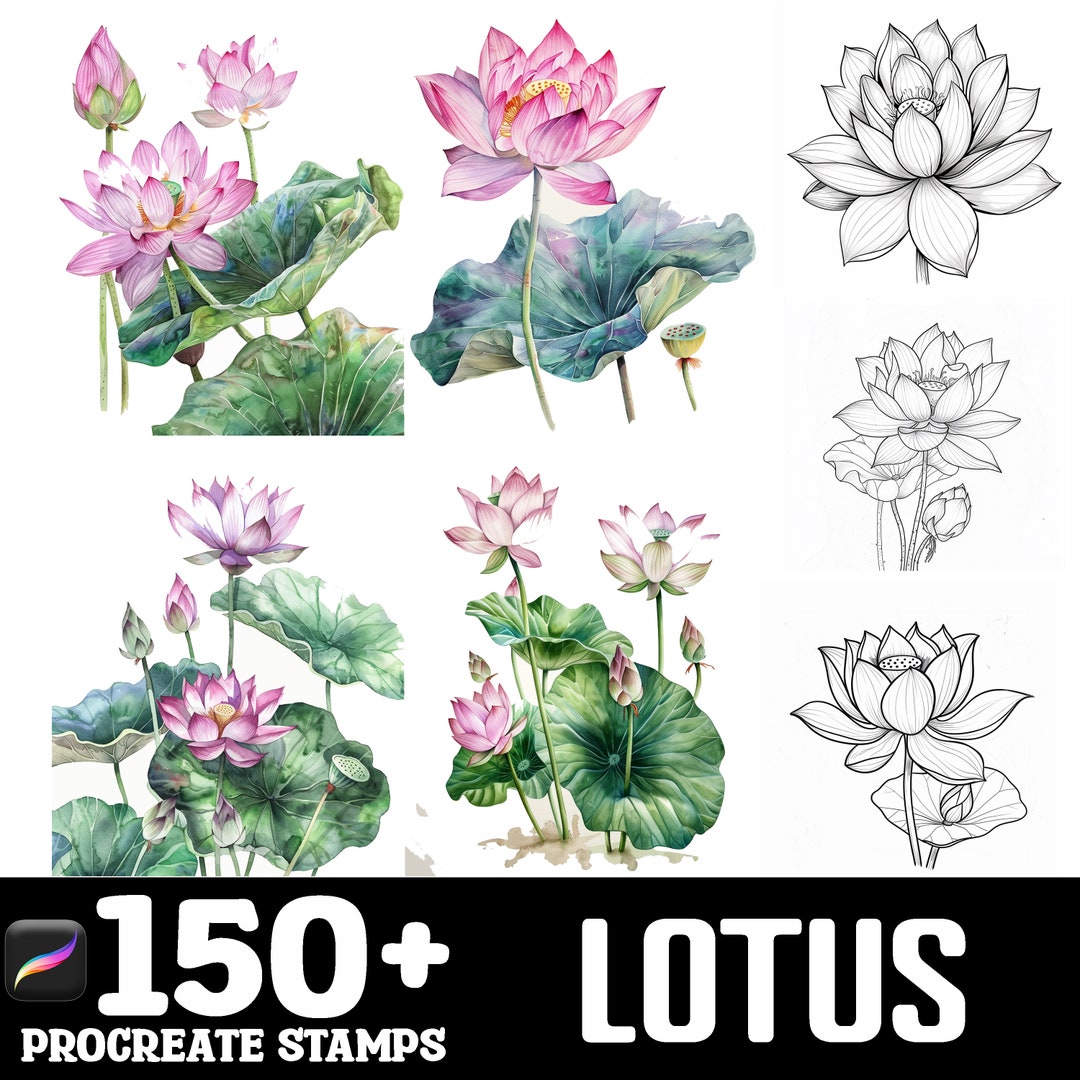 150+ Lotus Procreate Brush Set | Stamps for Procreate | Instant Digital ...