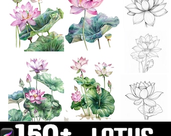 150+ Lotus Procreate Brush Set | Stamps For Procreate | Instant Digital Download