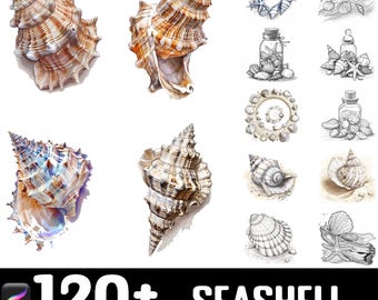 Más de 128 pinceles y sellos de conchas marinas para Procreate. Descarga digital instantánea.