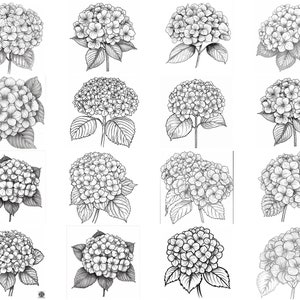150+ Hydrangea Procreate Brush Set | Stamps for Procreate | Instant ...
