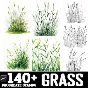 May include: A set of 140+ digital stamps featuring watercolor and line art illustrations of various types of grass. The stamps are designed for use in Procreate.