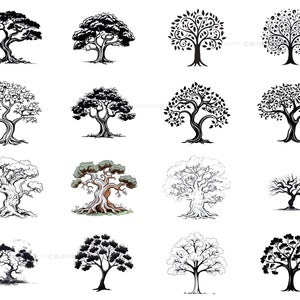 100+ Tree Procreate Brush Set | Unique Realistic Tree Stamp Brushes ...
