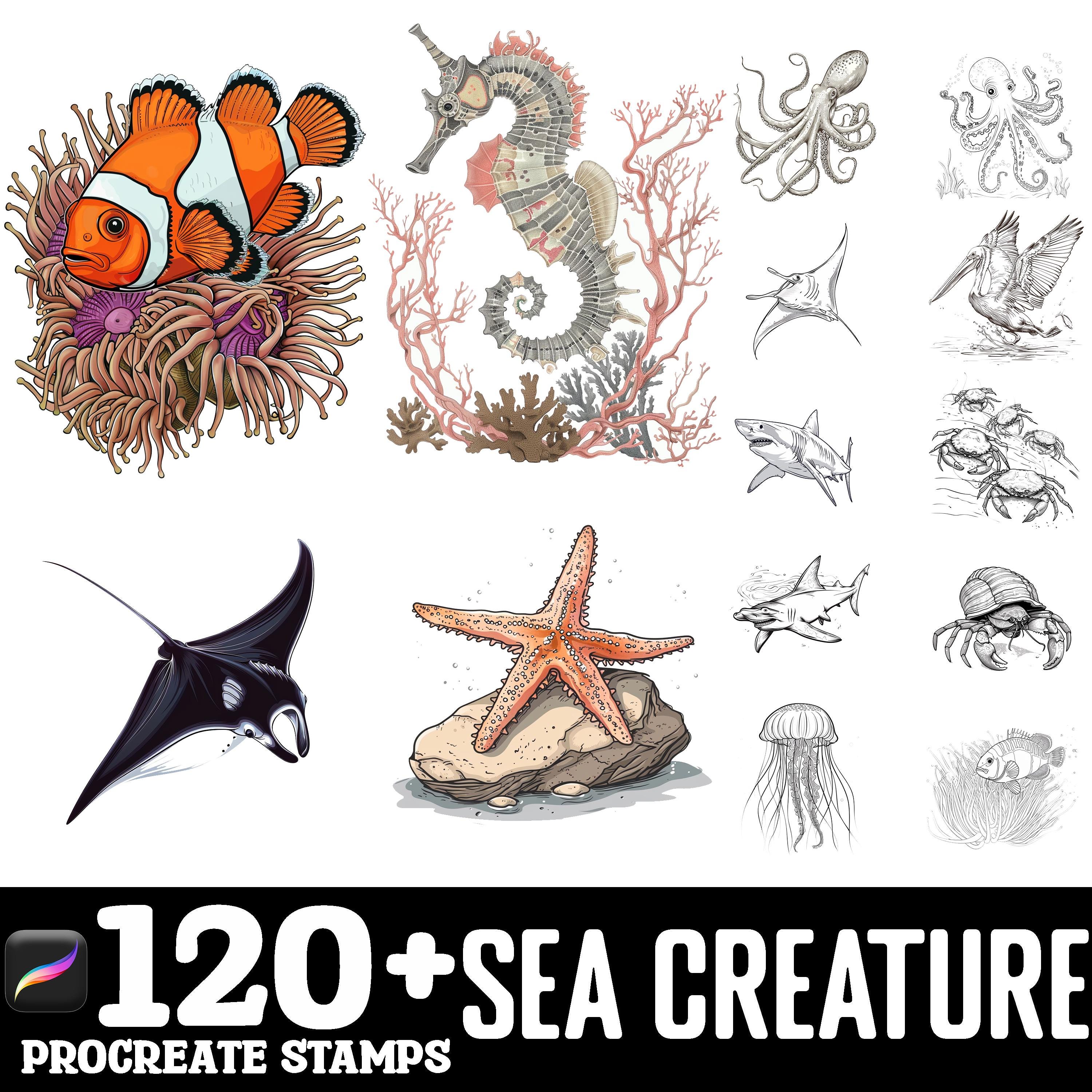100+ Sea Creatures Procreate Brush Set | Procreate Stamp Brushes ...