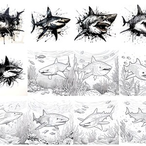 100+ Shark Procreate Brush Set | Unique Shark Stamp Brushes | Instant ...