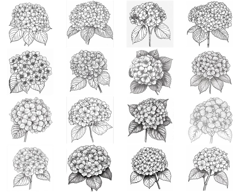 150+ Hydrangea Procreate Brush Set | Stamps for Procreate | Instant ...