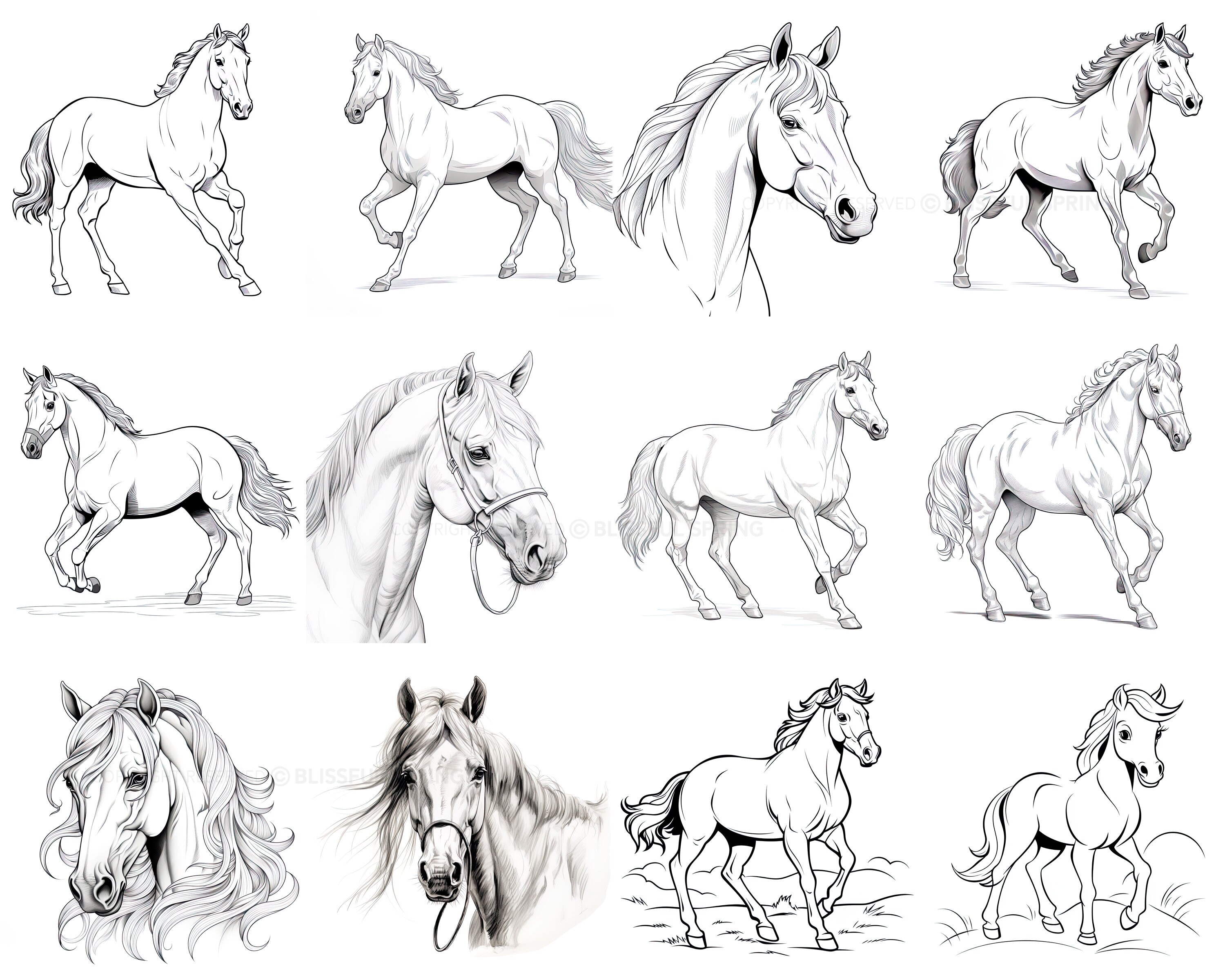 100+ Horse Procreate Brush Set | Unique Horse Stamp Brushes | Instant ...