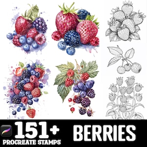 May include: A set of 151+ Procreate stamps featuring watercolor illustrations of various berries, including strawberries, raspberries, blueberries, and blackberries. The stamps are perfect for adding a touch of nature to digital art projects.