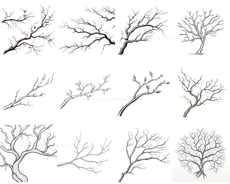 100+ Branches Procreate Brush Set | Unique Tree Branch Stamp Brushes ...