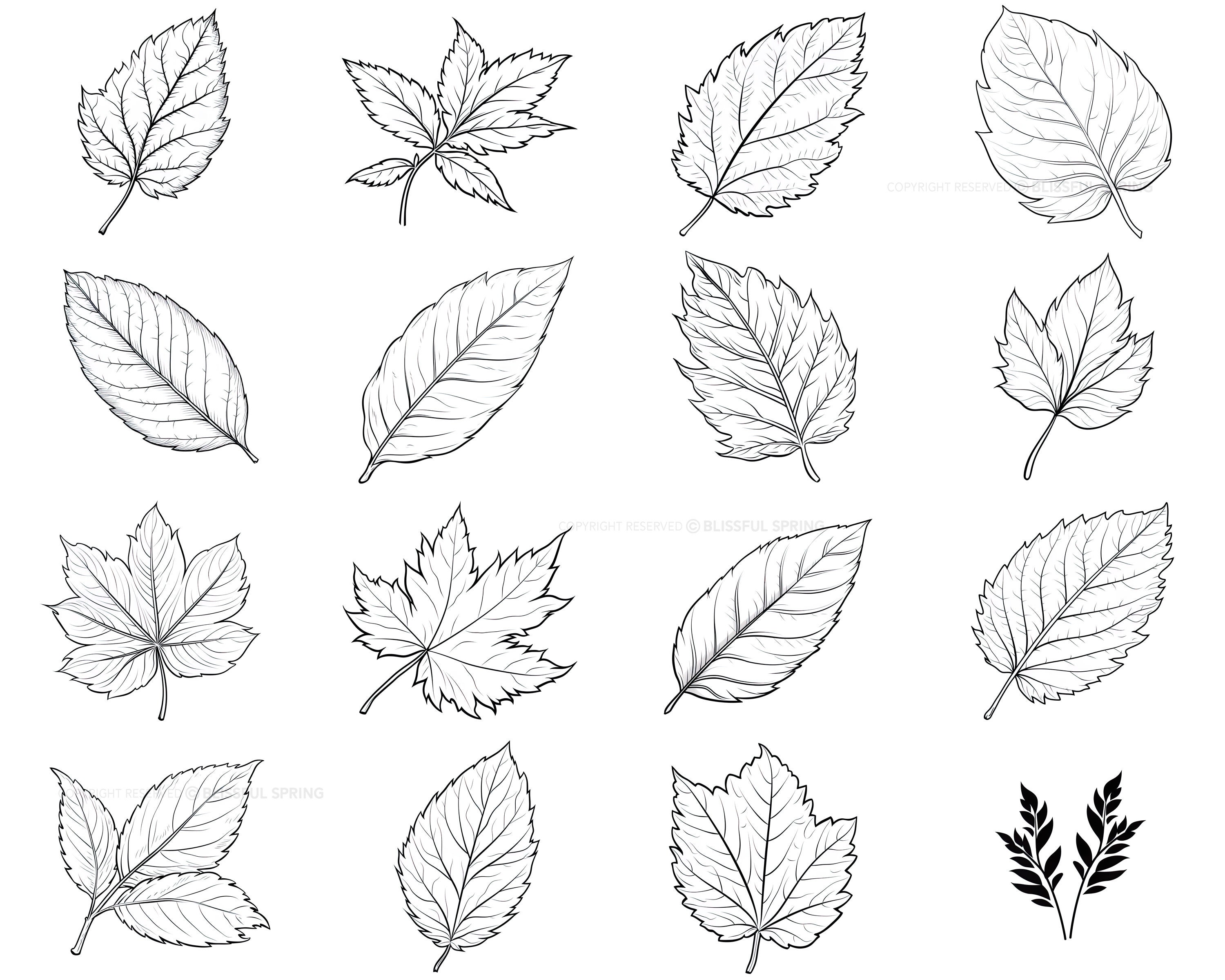 100+ Leaf Procreate Brush Set | Unique Leaf Stamp Brushes | Instant ...