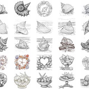 128+ Seashell Procreate Brush Set | Stamps for Procreate | Instant ...