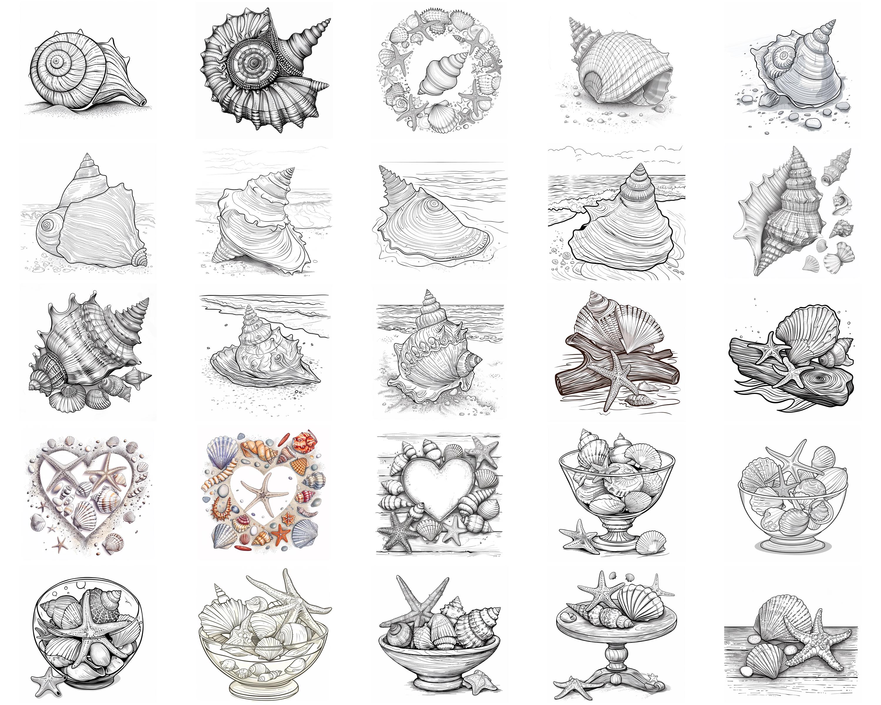 128+ Seashell Procreate Brush Set | Stamps for Procreate | Instant ...