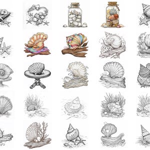 128+ Seashell Procreate Brush Set | Stamps for Procreate | Instant ...