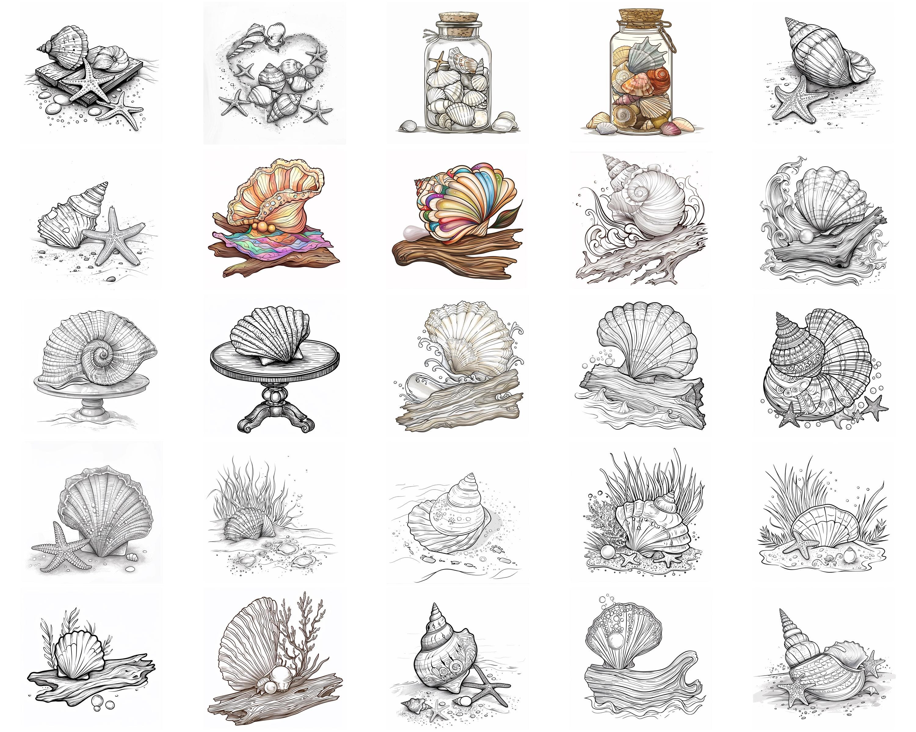 128+ Seashell Procreate Brush Set | Stamps for Procreate | Instant ...
