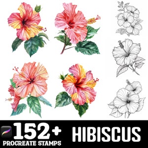 151+ Hibiscus Procreate Brush Set | Stamps For Procreate | Instant Digital Download