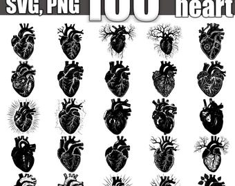 May include: A collection of 24 black and white anatomical heart illustrations. The hearts are in various poses and styles, including some with veins and arteries.