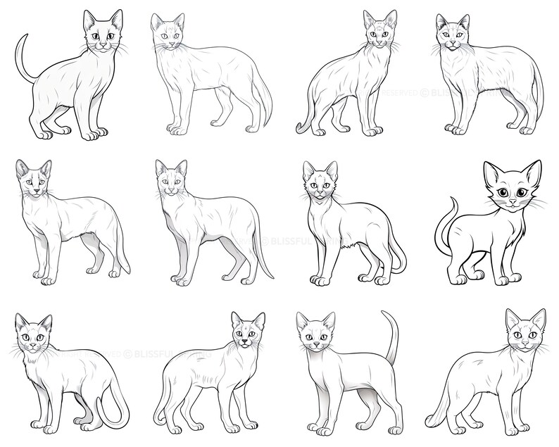 100+ Cat Procreate Brush Set | Unique Cat Stamp Brushes | Instant ...