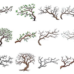 100+ Branches Procreate Brush Set | Unique Tree Branch Stamp Brushes ...