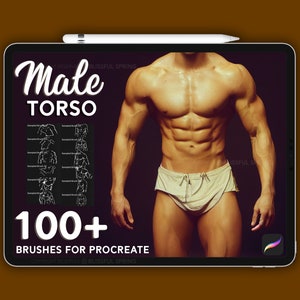 100+ Male Torso Brush set for procreate, High Quality Procreate Brushes, Instant Download