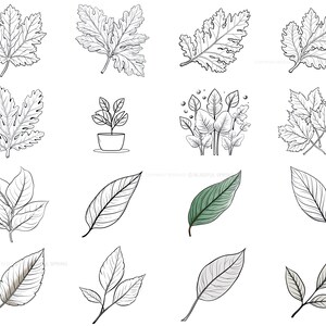 100+ Leaf Procreate Brush Set | Unique Leaf Stamp Brushes | Instant ...