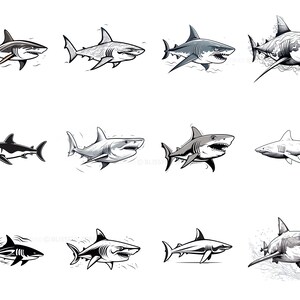 100+ Shark Procreate Brush Set | Unique Shark Stamp Brushes | Instant ...