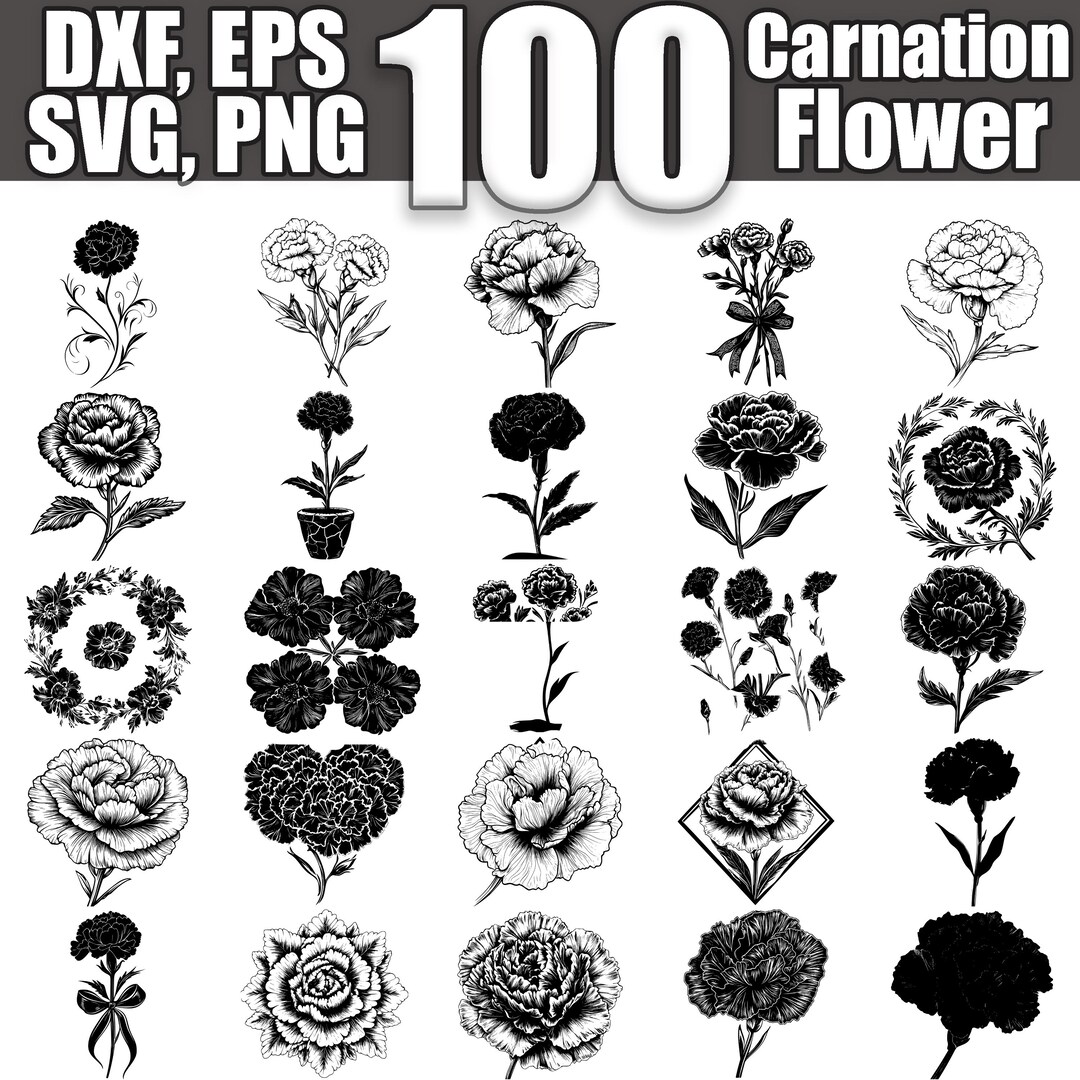 Carnation Flower SVG Bundle, Set of 100, Instant Digital Download Svg ...