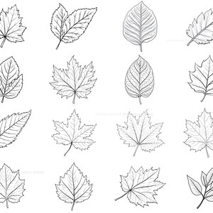 100+ Leaf Procreate Brush Set | Unique Leaf Stamp Brushes | Instant ...