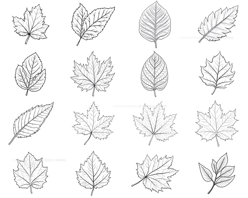 100+ Leaf Procreate Brush Set | Unique Leaf Stamp Brushes | Instant ...