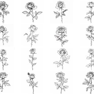 145+ Rose Flower Procreate Brush Set | Stamps for Procreate | Instant ...