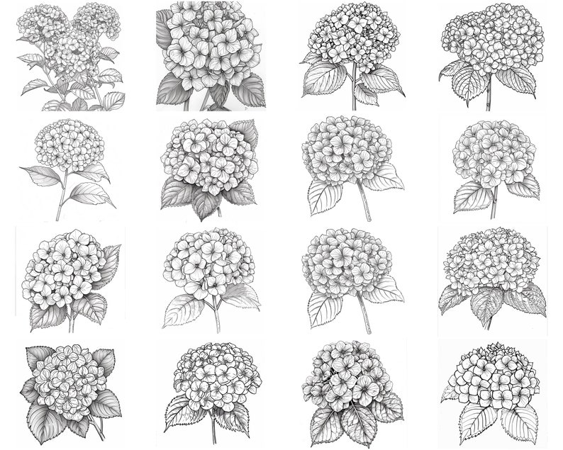 150+ Hydrangea Procreate Brush Set | Stamps for Procreate | Instant ...