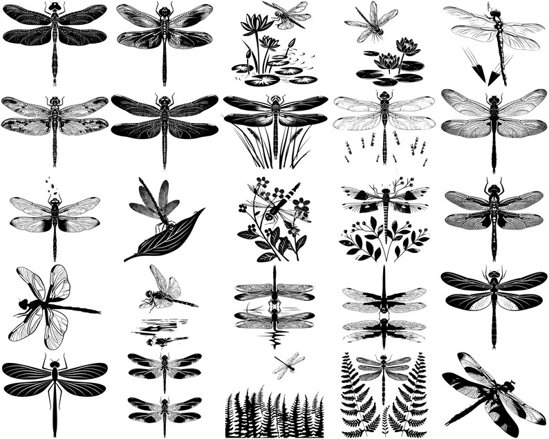 Dragonfly SVG Bundle, Set of 100, Instant Digital Download Svg Png Dxf ...