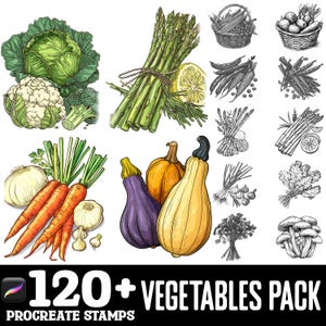 May include: A set of 120+ hand-drawn vegetable illustrations for Procreate. The illustrations include asparagus, cauliflower, cabbage, carrots, garlic, onions, squash, eggplant, mushrooms, and more.