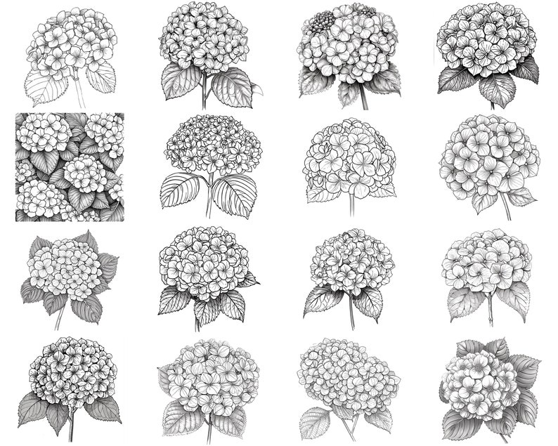 150+ Hydrangea Procreate Brush Set | Stamps for Procreate | Instant ...