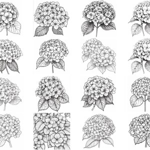 150+ Hydrangea Procreate Brush Set | Stamps for Procreate | Instant ...